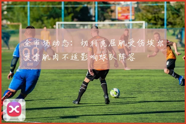 全市场动态：切利克屈肌受伤埃尔莫索肌肉不适影响球队阵容