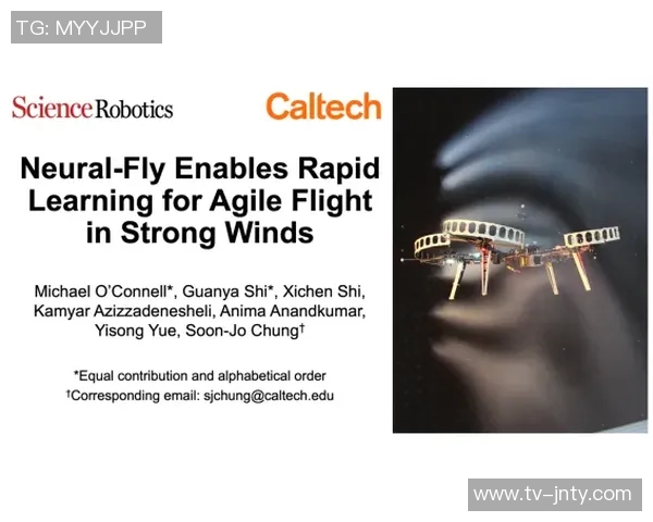 科塔谈首发经历：意外之喜与适应过程中的学习心得